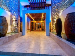 contemporary-pivot-door-and-sidelight-entries-66